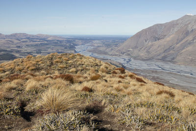 wilderness
