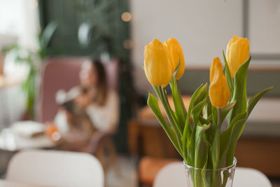 Close-up of yellow tulips flowers in cafe or home background