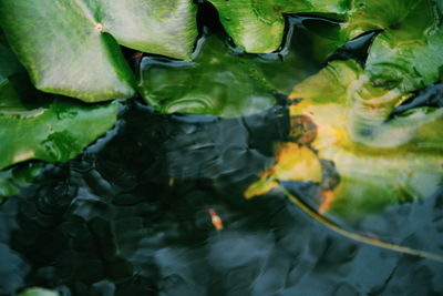 Full frame shot of water