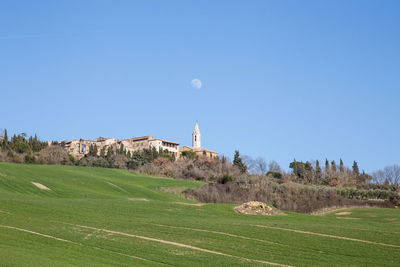 Scenic view of field against clear sky