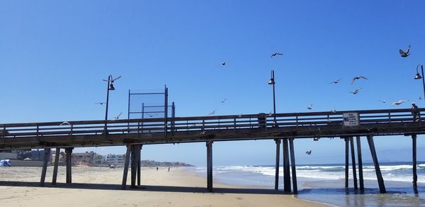View of birds flying over bridge against blue sky