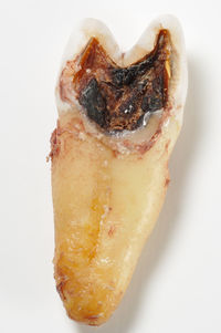 Close-up of bread over white background