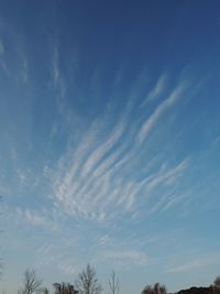 Low angle view of silhouette trees against blue sky