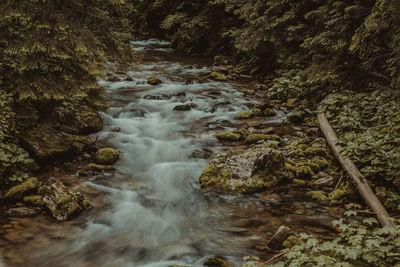 Stream flowing through rocks in forest