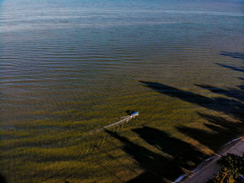 High angle view of horse on land