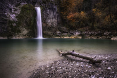 Scenic view of waterfall in forest