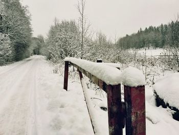 Bare trees in snow covered landscape