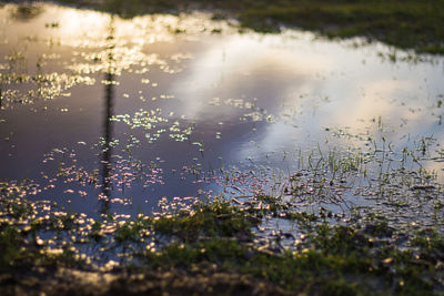 Close-up of wet puddle in lake