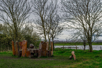 People sitting on field by bare trees against sky