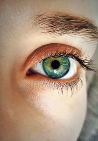 Extreme close-up of woman eye