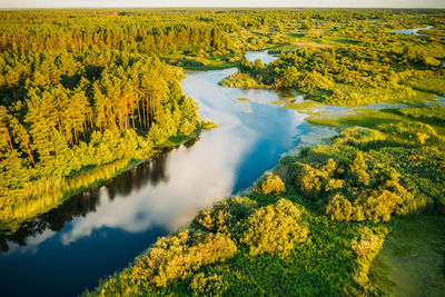 Scenic view of lake