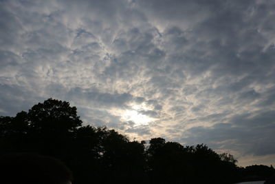 Low angle view of silhouette trees against sky during sunset