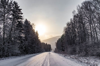 Road amidst trees against sky during winter