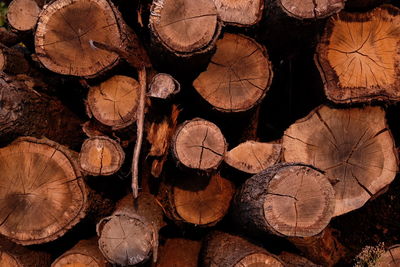 Full frame shot of logs