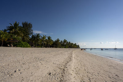 Scenic view of beach against clear sky