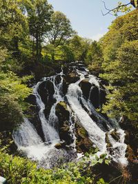 View of waterfall in forest