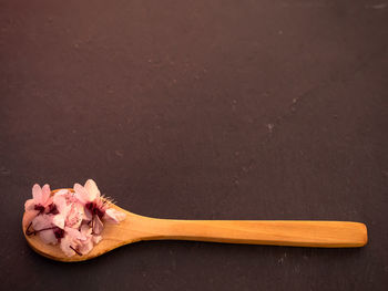 Close-up of pink rose on table