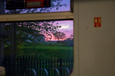 Close-up of trees against sky seen through window