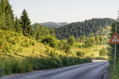 Road amidst plants and trees against sky