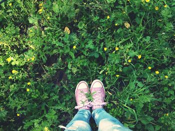 Low section of person standing on grass