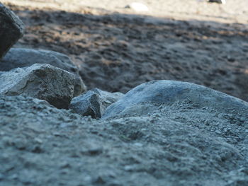 Close-up of rocks on shore