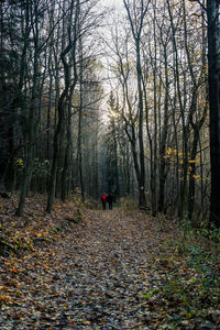 Rear view of people walking in forest during autumn