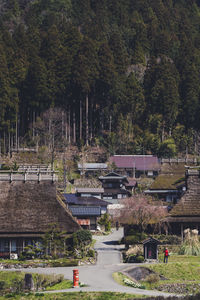 High angle view of trees and buildings in city