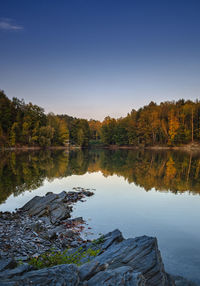 Scenic view of lake in forest against clear blue sky