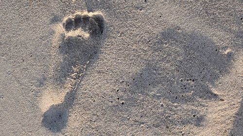 High angle view of footprints on sand at beach