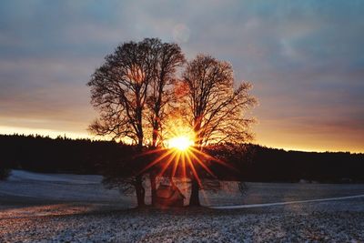 Silhouette trees on field against sky during sunset