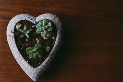 High angle view of fruits in bowl on table