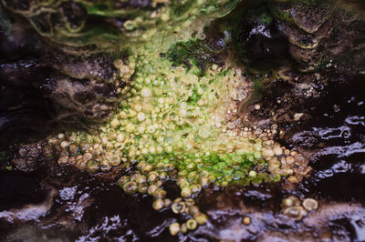 Full frame shot of rock in sea