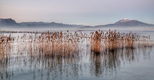 Scenic view of lake against sky