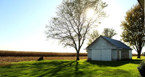 Trees on field against sky