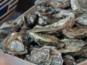 Oysters on the counter in wooden boxes on the market. oysters for sale at the seafood market