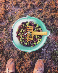 Low section of person by bucket full of olives on field