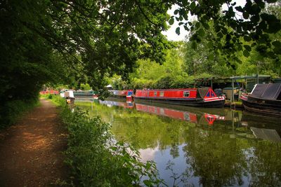 Scenic view of lake against trees