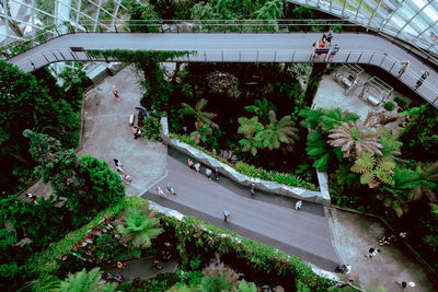 High angle view of bridge amidst trees in city