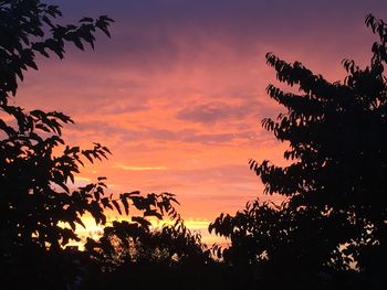 Low angle view of silhouette trees against sky at sunset