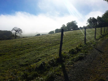 Scenic view of field against sky