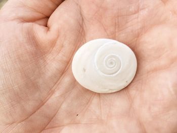 Close-up of cropped hand