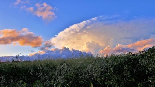 Scenic view of landscape against sky during sunset