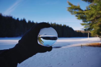 Close-up of hand holding crystal ball against trees in winter 