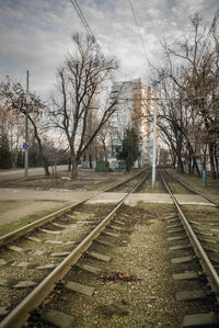 Railroad tracks amidst trees against sky