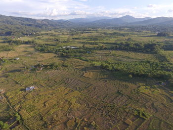 High angle view of agricultural field