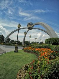 Flowers blooming in park against sky