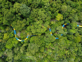 Aerial view look down water slide in green forest at in penang