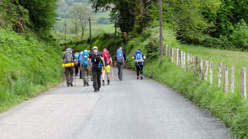 Rear view of hikers walking on road amidst trees