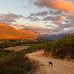 Scenic view of landscape against sky during sunset