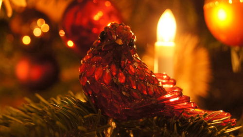 Close-up of red crystal bird decoration against illuminated christmas tree